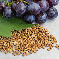 grape seed -cortexi ingredient
